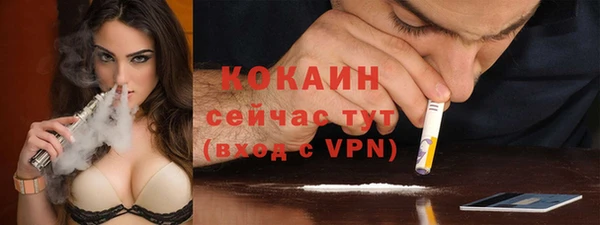 ПСИЛОЦИБИНОВЫЕ ГРИБЫ Пушкино